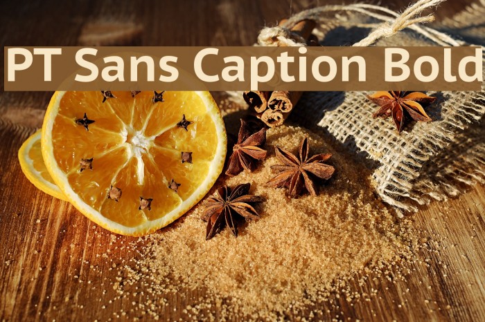 PT Sans Caption Bold Font examples