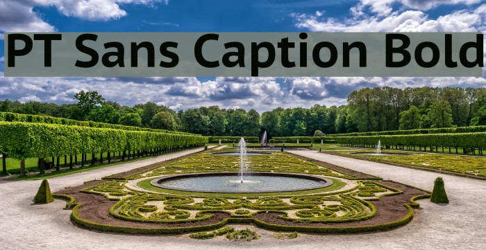 PT Sans Caption Bold Font examples