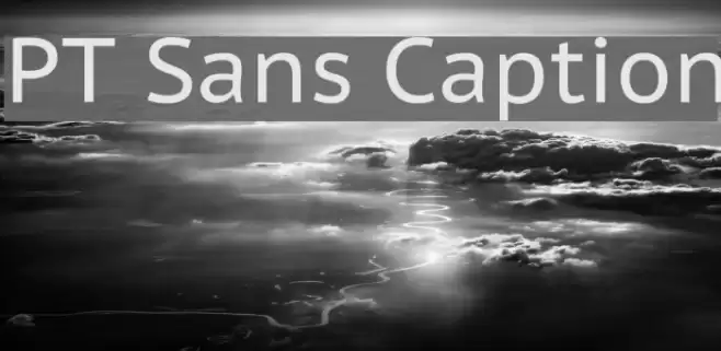 PT Sans Caption Fonte examples