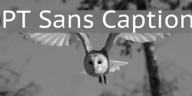PT Sans Caption Fonte examples