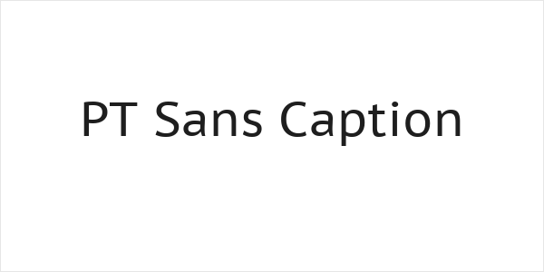 PT Sans Caption Logo