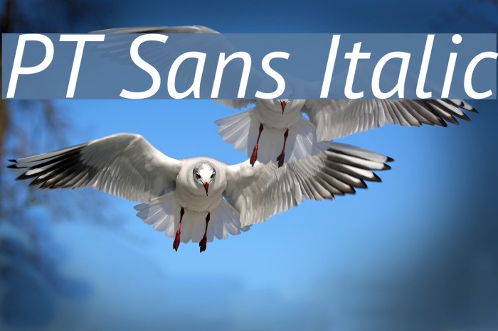 PT Sans Italic Font examples