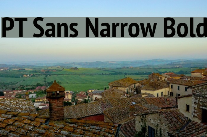 PT Sans Narrow Bold Font examples