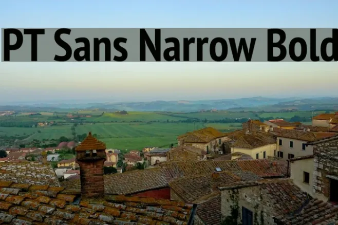 PT Sans Narrow Bold Example 1