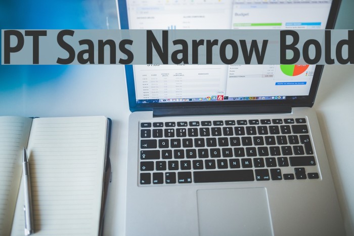 PT Sans Narrow Bold Font examples