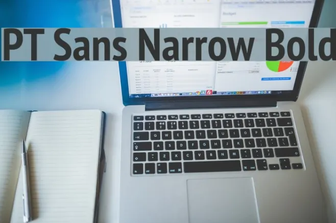 PT Sans Narrow Bold Example 2