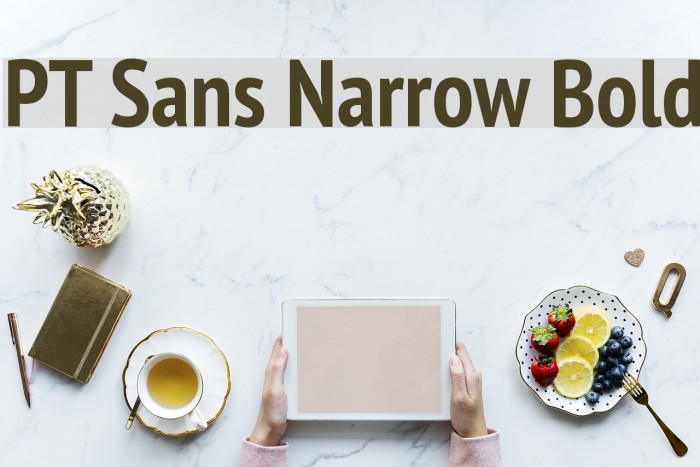 PT Sans Narrow Bold Font examples