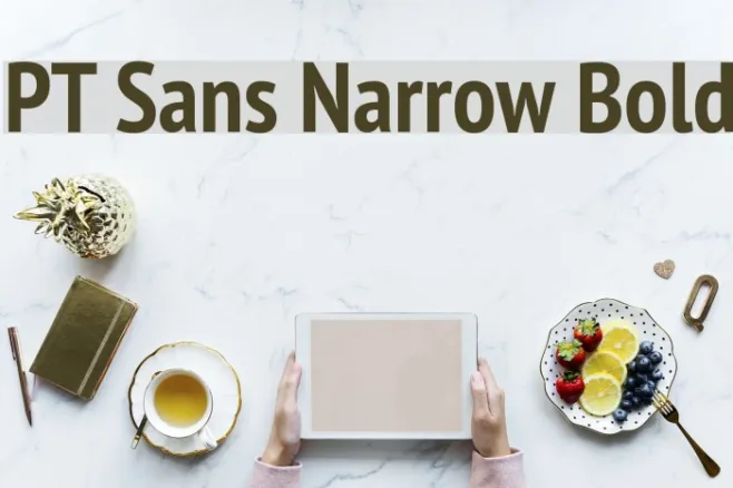 PT Sans Narrow Bold Example 3