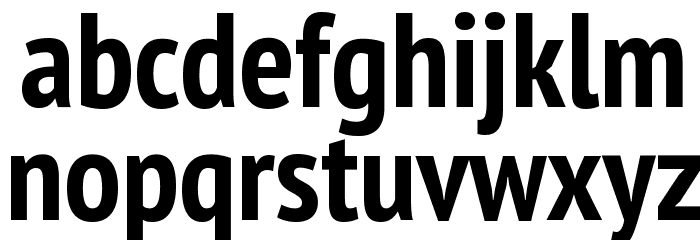 PT Sans Narrow Bold Font LOWERCASE