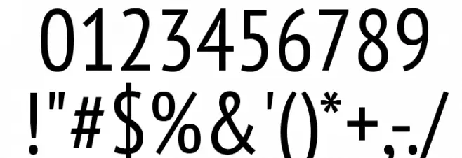 PT Sans Narrow Font OTHER CHARS