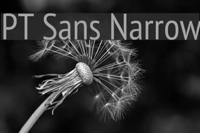 PT Sans Narrow Font examples