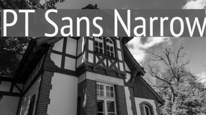 PT Sans Narrow Font examples