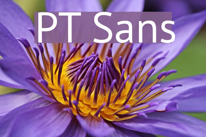 PT Sans Font examples