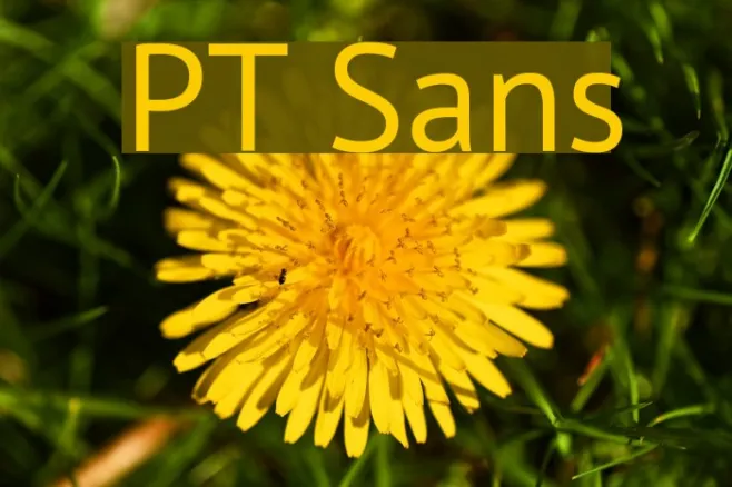 PT Sans Example 3