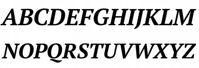 PT Serif Bold Italic Schriftart Groß