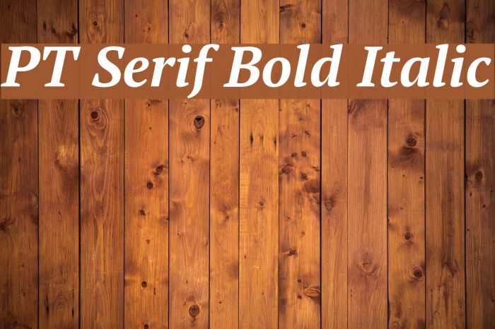 PT Serif Bold Italic Font examples
