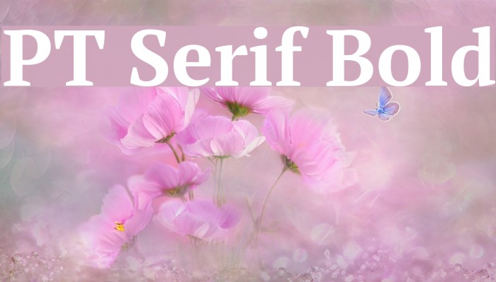 PT Serif Bold Font examples
