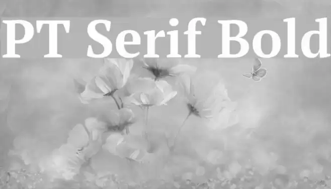 PT Serif Bold examples
