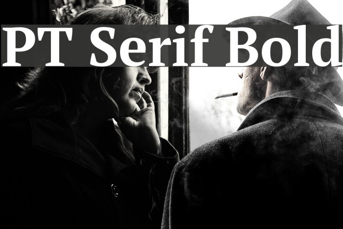 PT Serif Bold Font examples