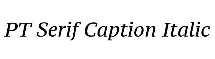 PT Serif Caption Italic Font