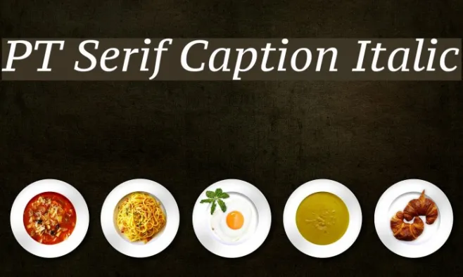PT Serif Caption Italic Example 1