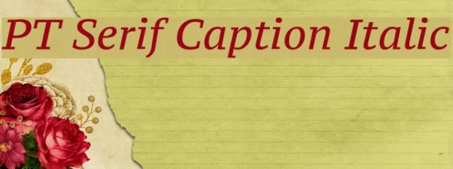 PT Serif Caption Italic Example 2