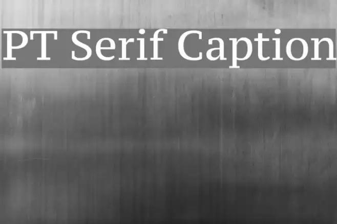 PT Serif Caption Fonte examples