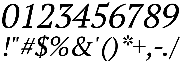 PT Serif Italic Font OTHER CHARS