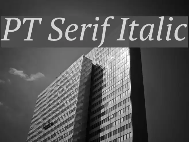 PT Serif Italic Font examples
