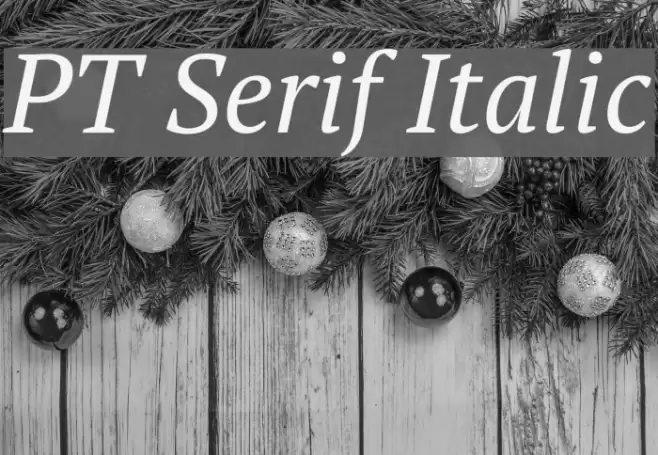 PT Serif Italic Font examples