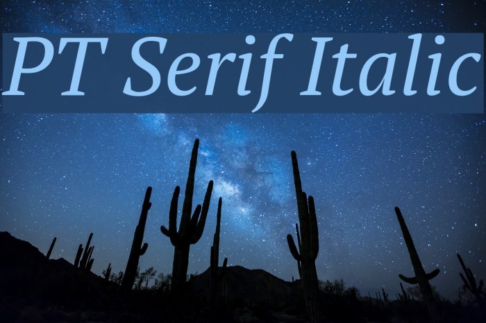 PT Serif Italic Font examples