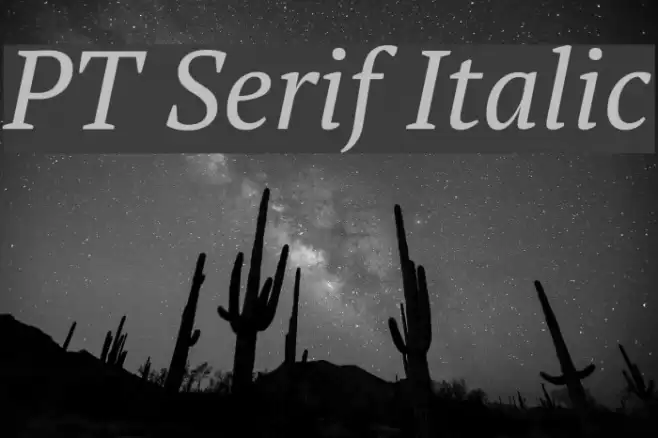 PT Serif Italic Font examples