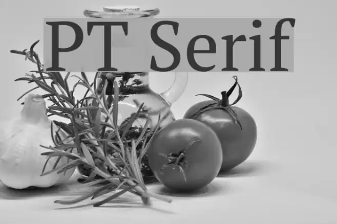 PT Serif Font examples