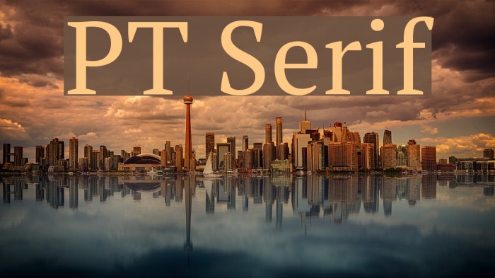PT Serif Font examples