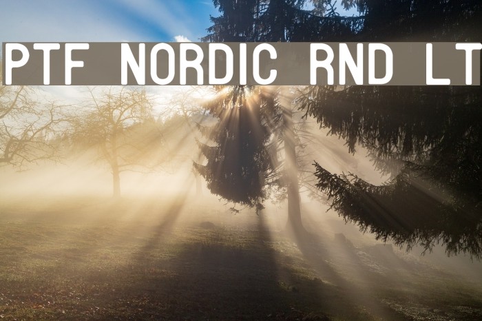 PTF NORDIC Rnd Lt Font examples