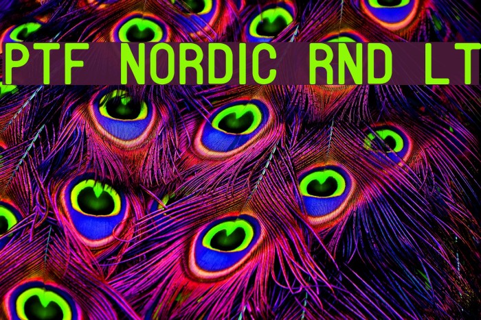 PTF NORDIC Rnd Lt Font examples
