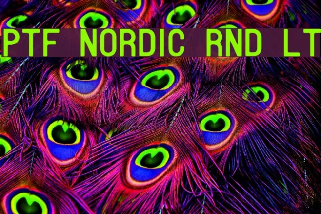 PTF NORDIC Rnd Lt Example 2
