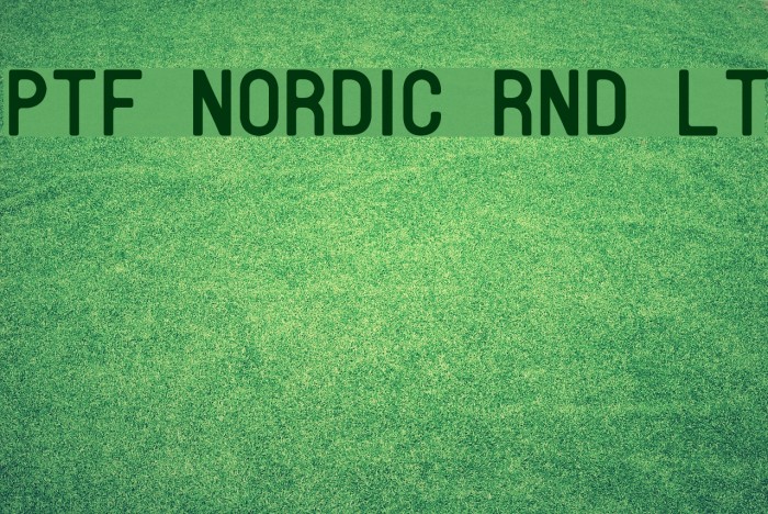 PTF NORDIC Rnd Lt Font examples