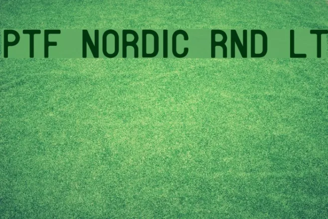 PTF NORDIC Rnd Lt Example 3