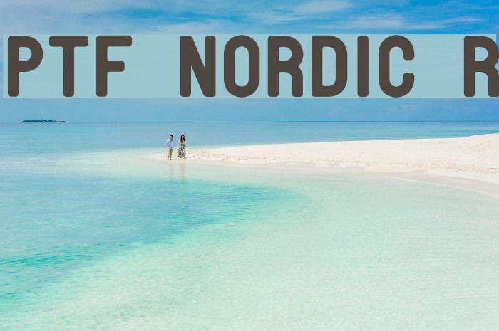 PTF NORDIC Rnd Font examples