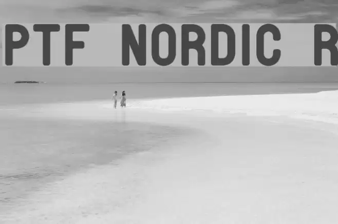 PTF NORDIC Rnd フォント examples