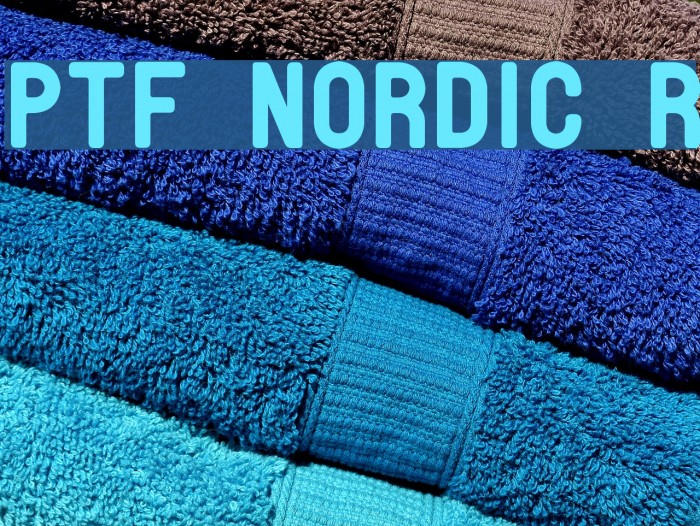 PTF NORDIC Rnd Font examples