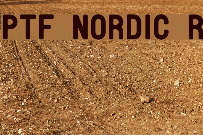 PTF NORDIC Rnd Font examples