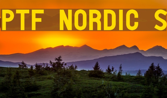 PTF NORDIC Std Font examples