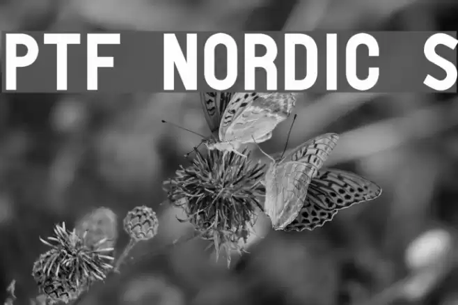 PTF NORDIC Std フォント examples