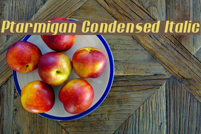 Ptarmigan Condensed Italic フォント examples