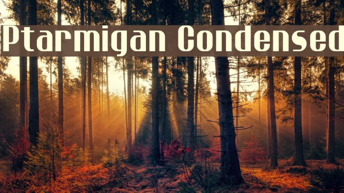 Ptarmigan Condensed Font examples