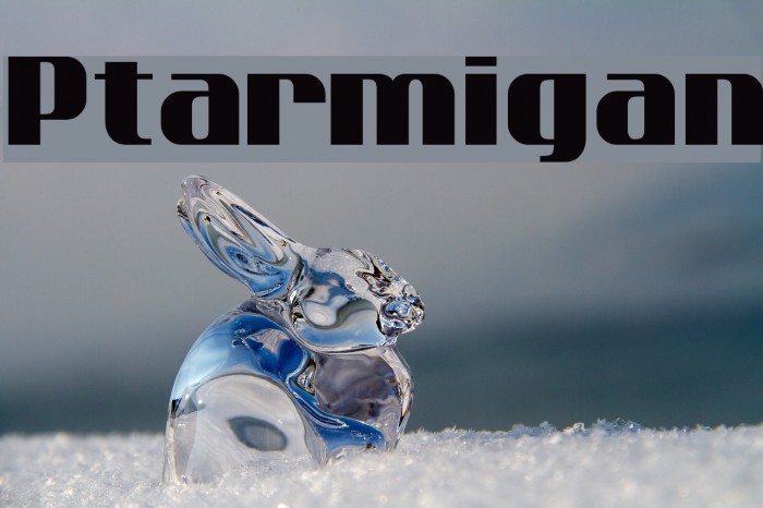 Ptarmigan Schriftart examples