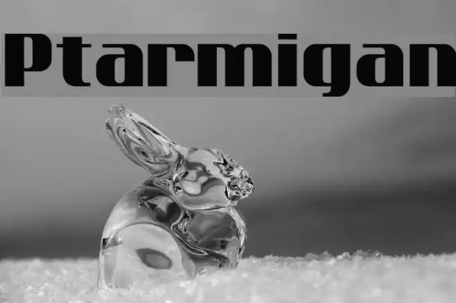 Ptarmigan Font examples