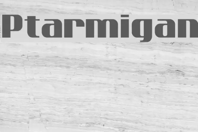 Ptarmigan Font examples